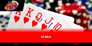 xì dách