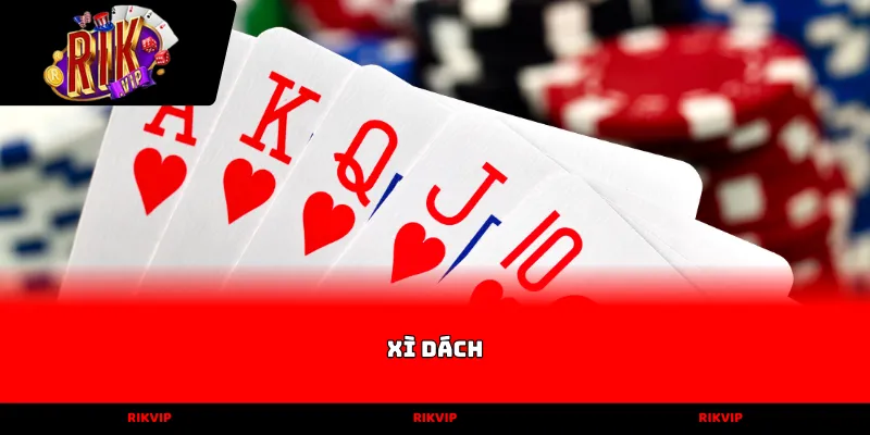 xì dách
